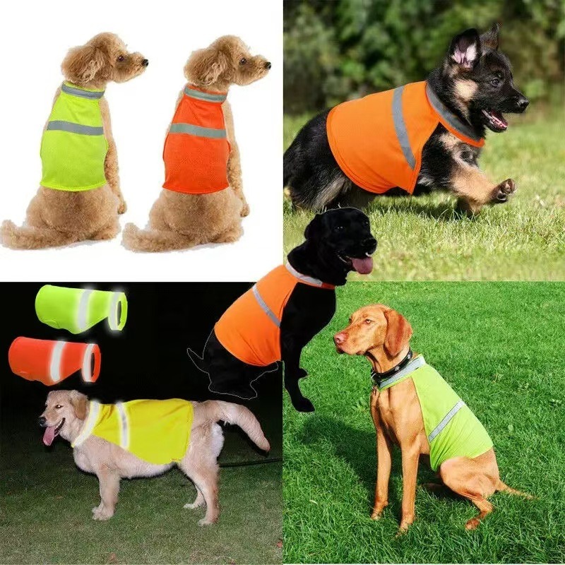 Durable Fluorescent Pink Dog C - Summer Nights Clothing avaliação e preço