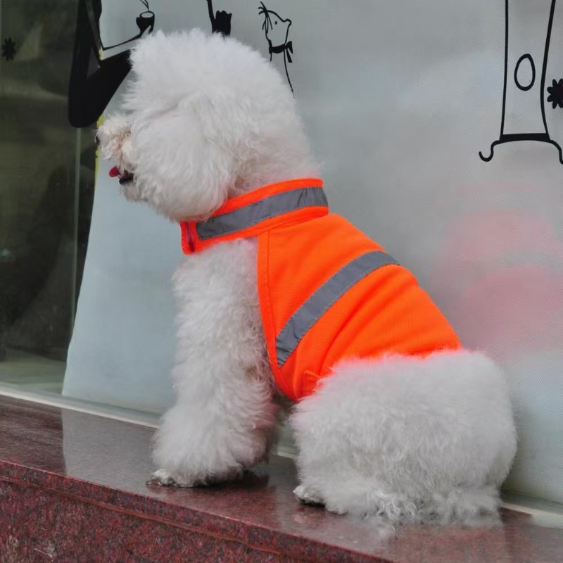 Durable Fluorescent Pink Dog C - Summer Nights Clothing avaliação e preço