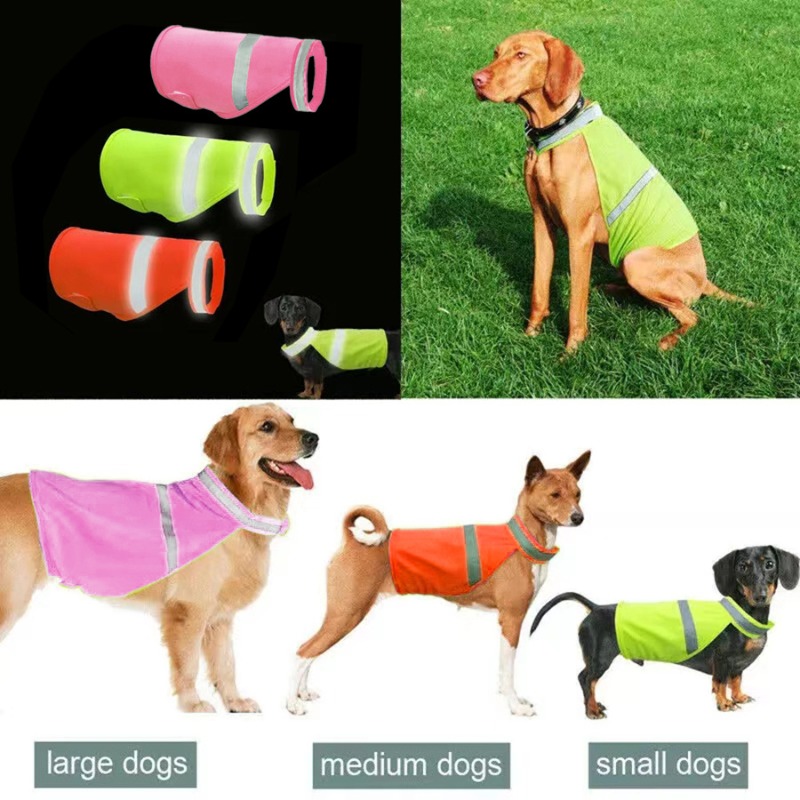 Durable Fluorescent Pink Dog C - Summer Nights Clothing avaliação e preço